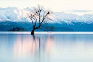 Australia's first professional instagrammer offering mentorship